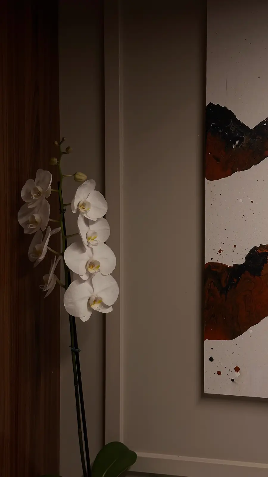 Orquídea branca diante de quadro abstrato na sala Floris